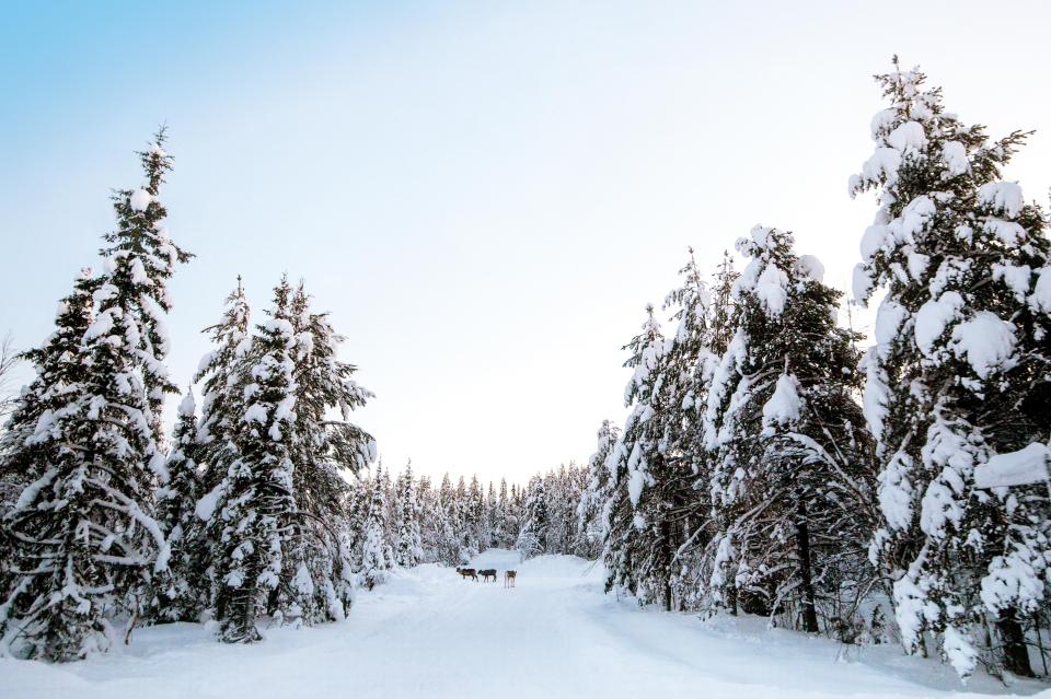  The landscape was breathtaking on our Nordic adventure