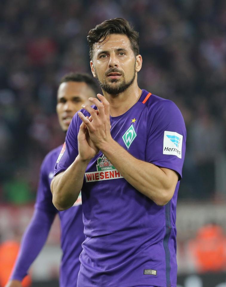  Claudio Pizarro could face Arsenal after joining Cologne