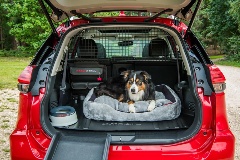  Paw Pack features machine washable bed for your pet