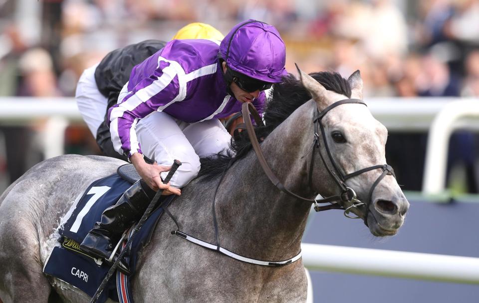  Capri motored home to win the St Leger