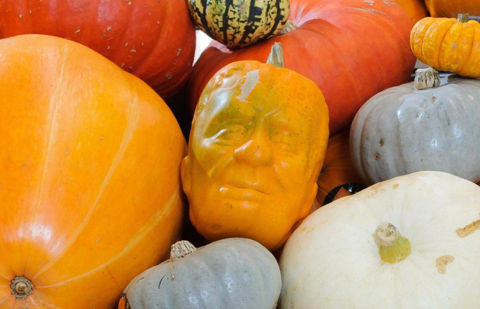  The Frankenstein pumpkins from Morrisons cost £15 but proceeds go to charity