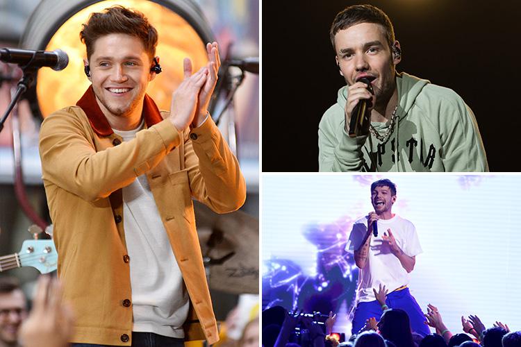  Niall, Liam and Louis each are joint sixth on the list with £40 million each