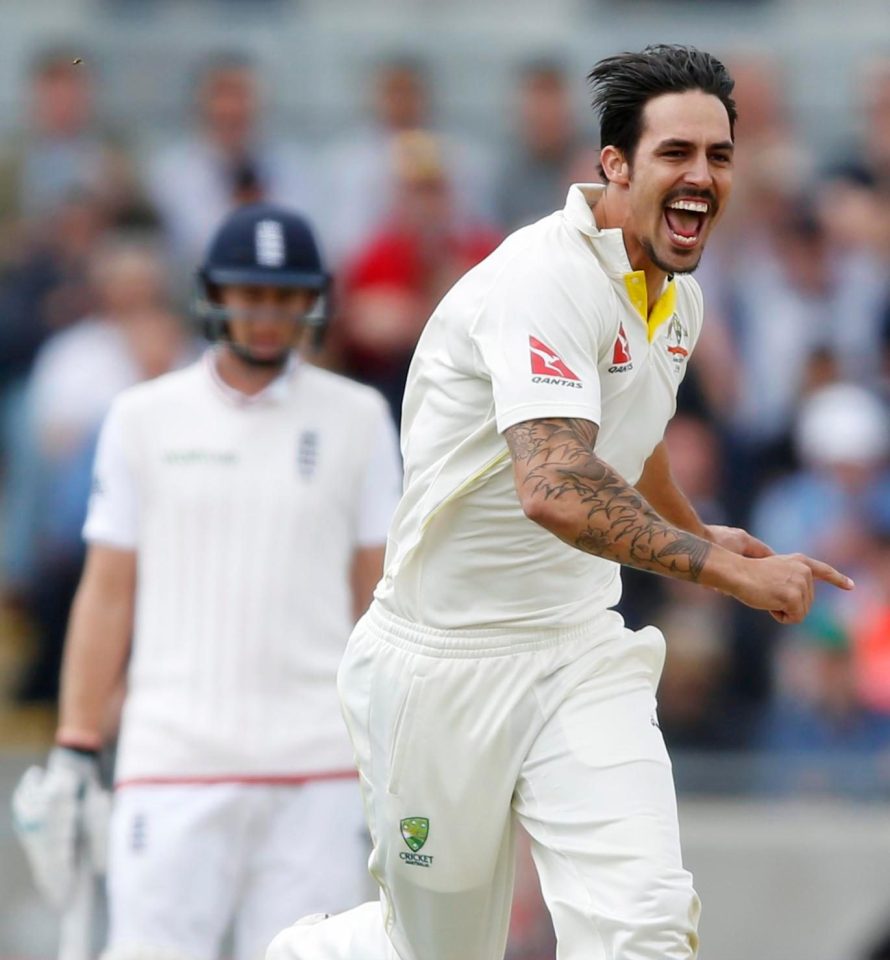 Mitchell Johnson terrorised England in the 2013-14 Ashes series with 37 wickets