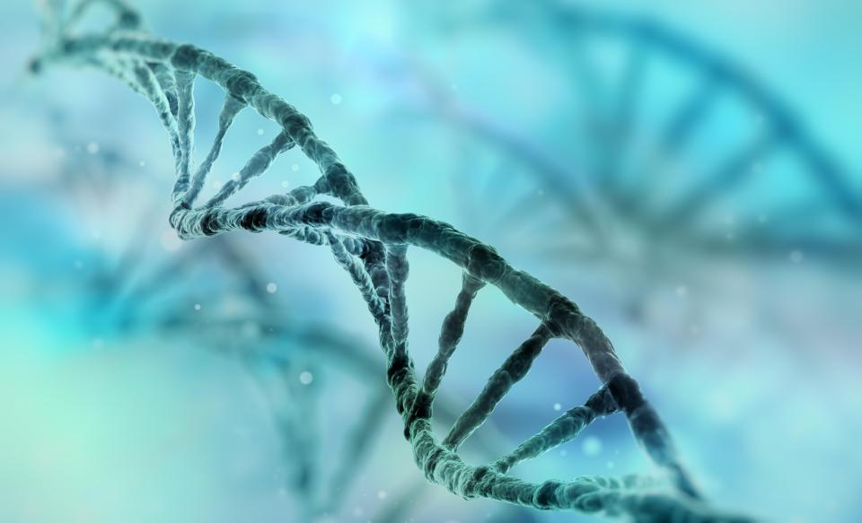  A diagram showing the famous double helix structure of DNA