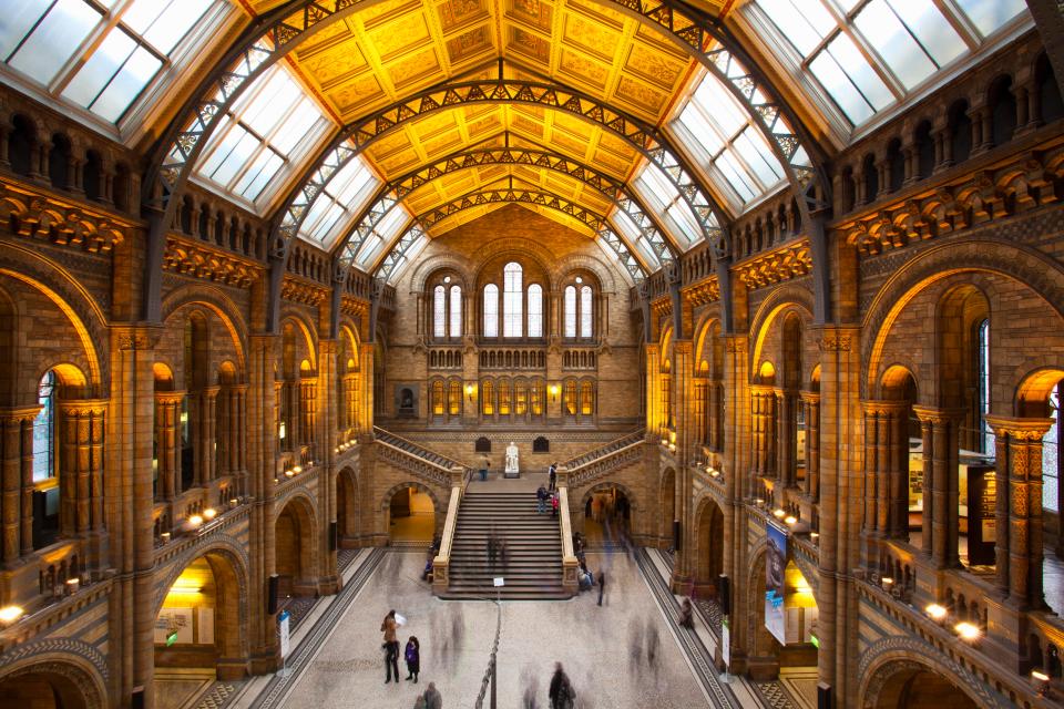  The Natural History Museum is one of London's top attractions