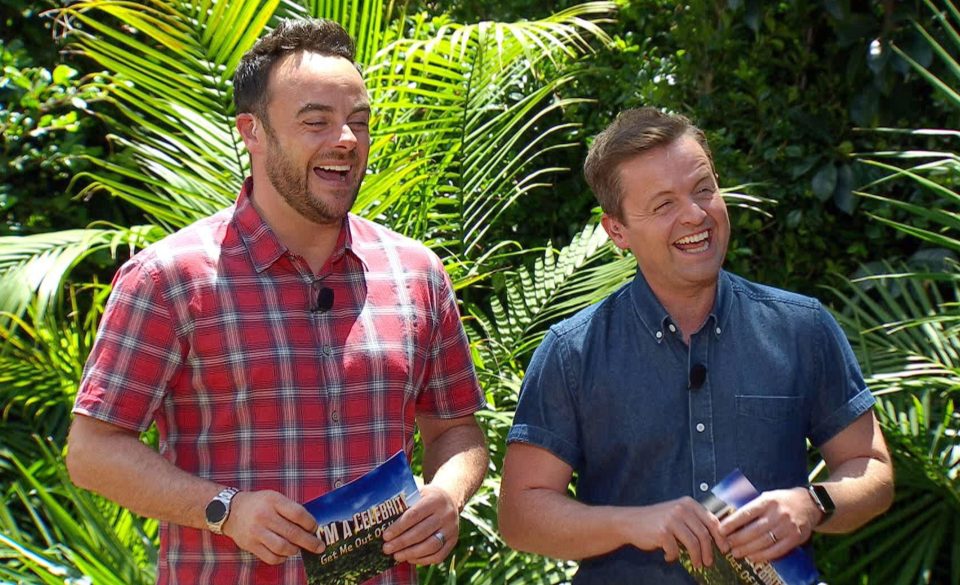 Ant and TV presenting partner Declan Donnelly, have presented I'm A Celebrity since 2002 