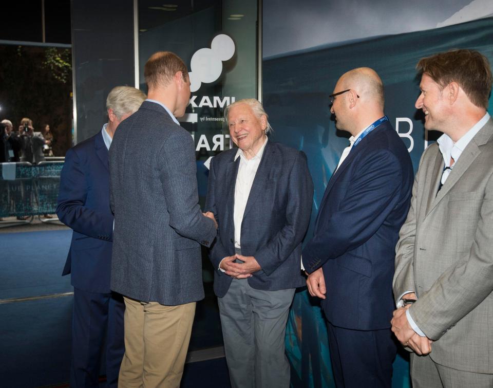  Prince William meets Sir David at the People's Postcode Lottery awards earlier this year