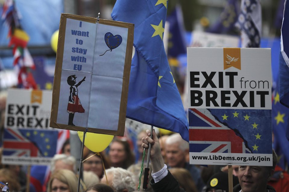  Remainers out in force as Tories head to Manchester