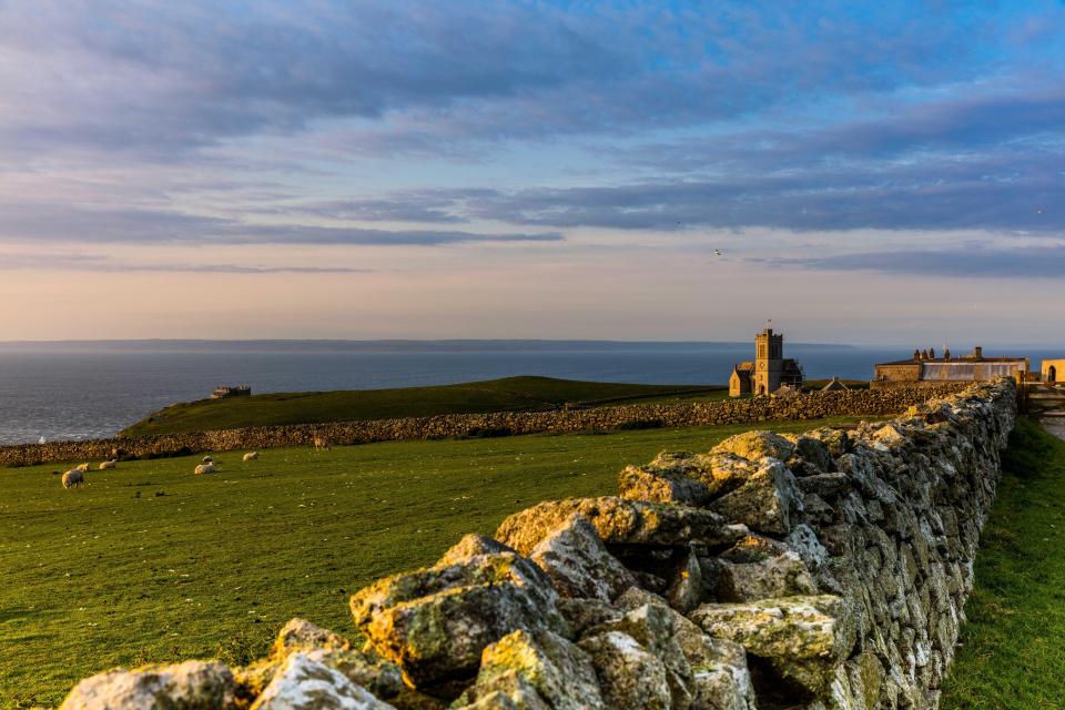 Lundy Island is home to a huge range of wildlife including puffins, deer and dolphins 