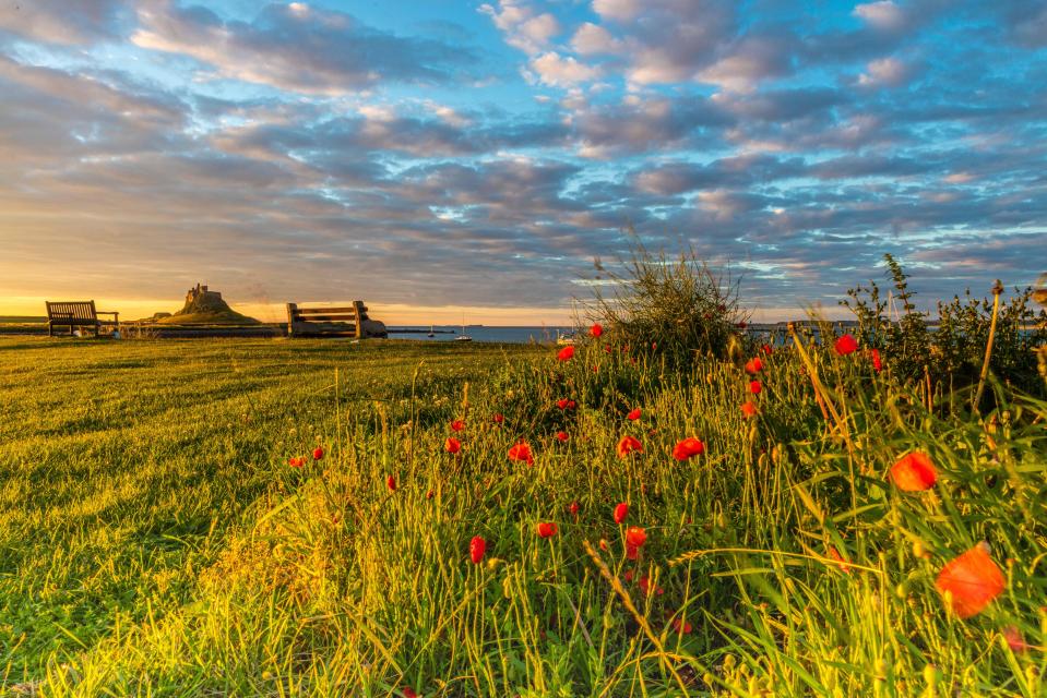 Providing they are careful with tide-times, visitors can just drive on to the Holy Island of Lindisfarne