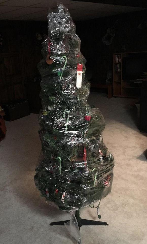  Hate the lengthy process of decorating the Xmas tree each year? Don't bother unhanging them in the first place