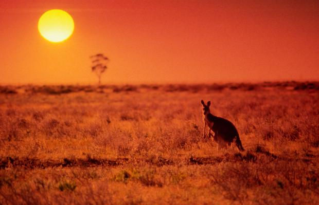 Australia is already known for its hot temperatures, with the mercury predicted to soar past 50C in Melbourne and Sydney