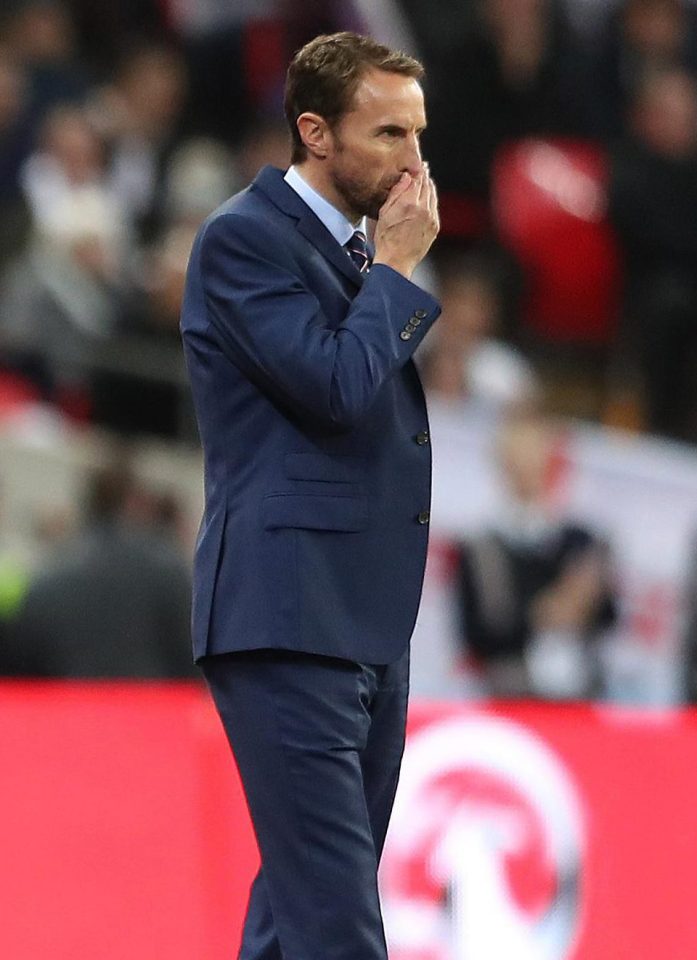 Gareth Southgate wants to test his players as much as possible to prepare them for the World Cup