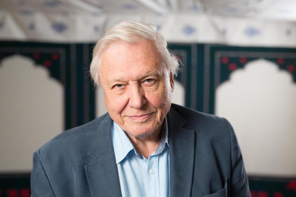  Famous broadcaster Sir David Attenborough is often dubbed a 'national treasure.'