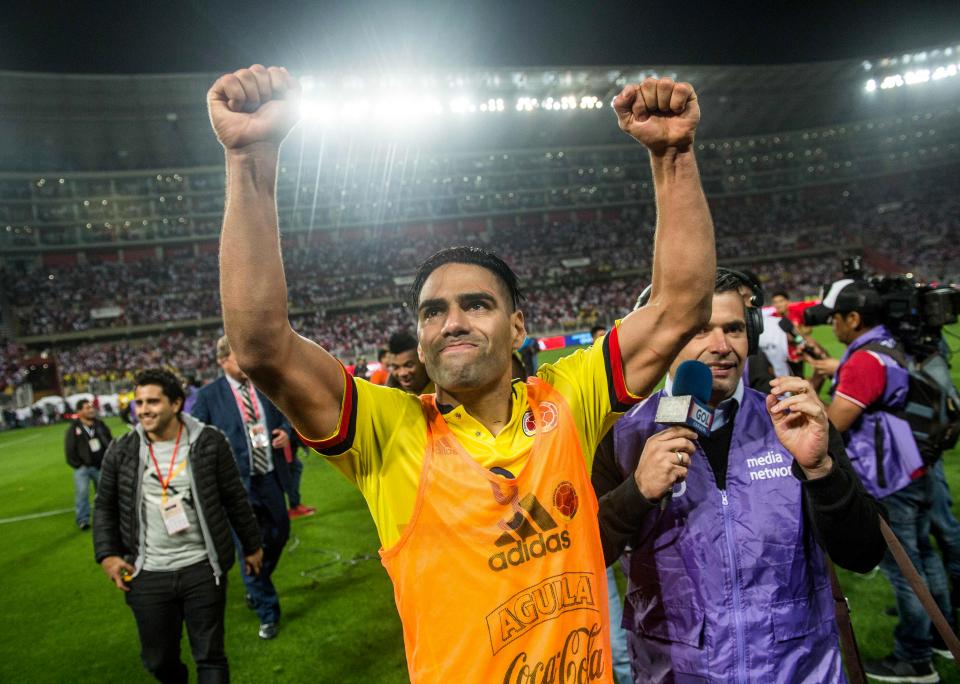  Radamel Falcao celebrates as Colombia qualify for the 2018 World Cup