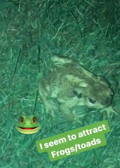  Lucy shared this snap of a frog with a funny caption