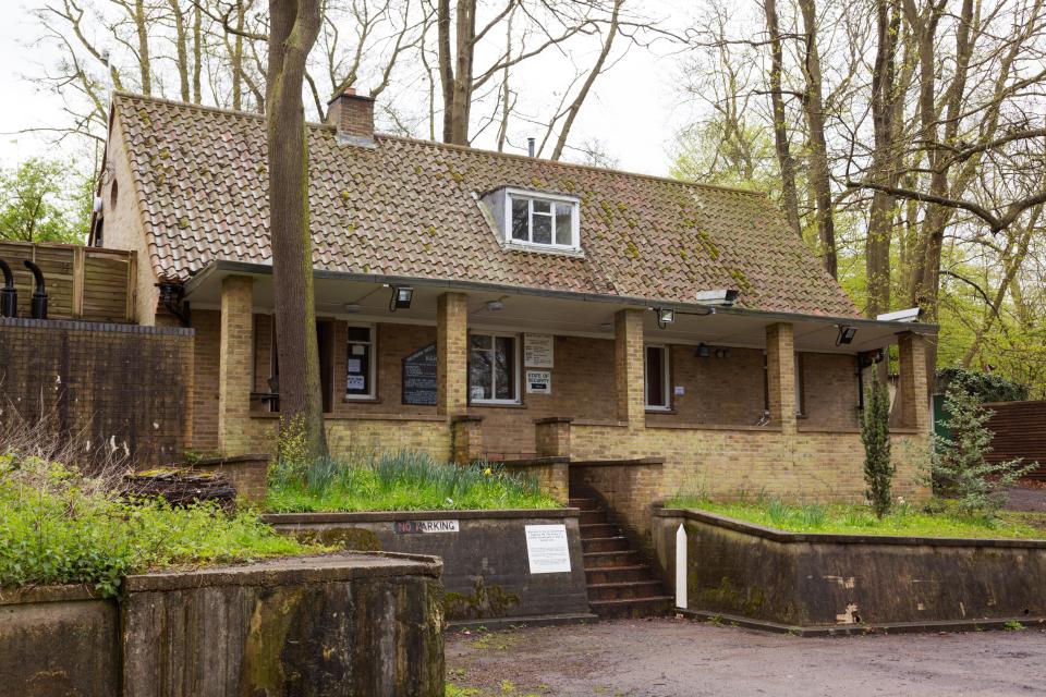  From the outside this Essex property looks like any other drab 1950s home