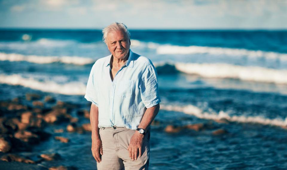  It has been 65 years since Sir David Attenborough joined BBC television in 1952