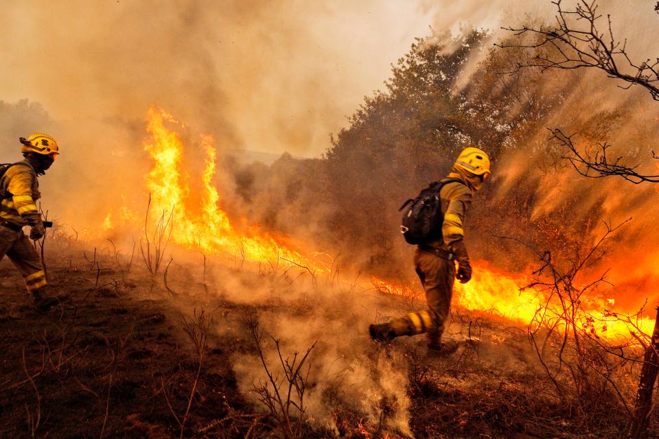  Wildfires devastated large parts of Portugal and Spain last year... Here firefighters try to extinguish a forest blaze close to the village of Constante, northwestern Spain, in October