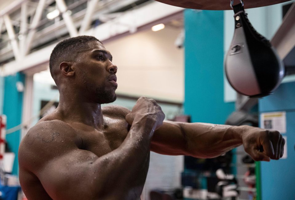 Anthony Joshua has warned Carlos Takam he risks an early retirement unless he changes his boxing style