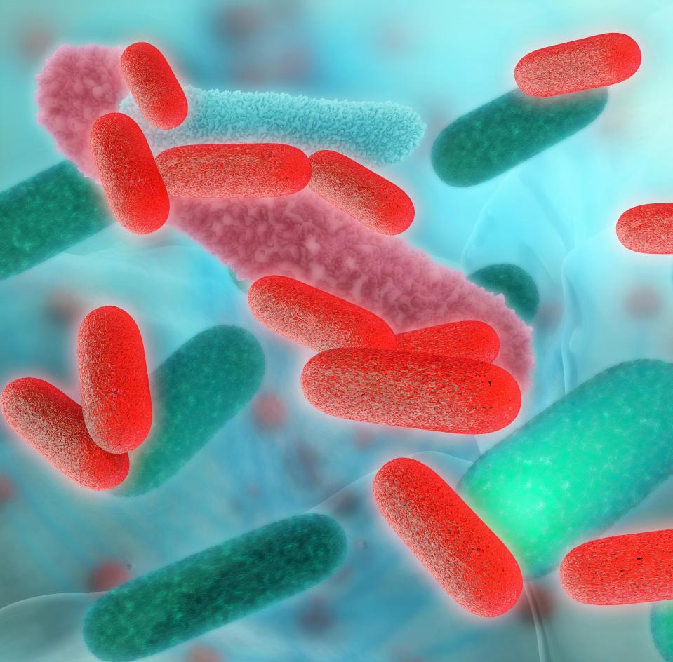  Legionnaires' disease is a lung infection caused by Legionella bacteria