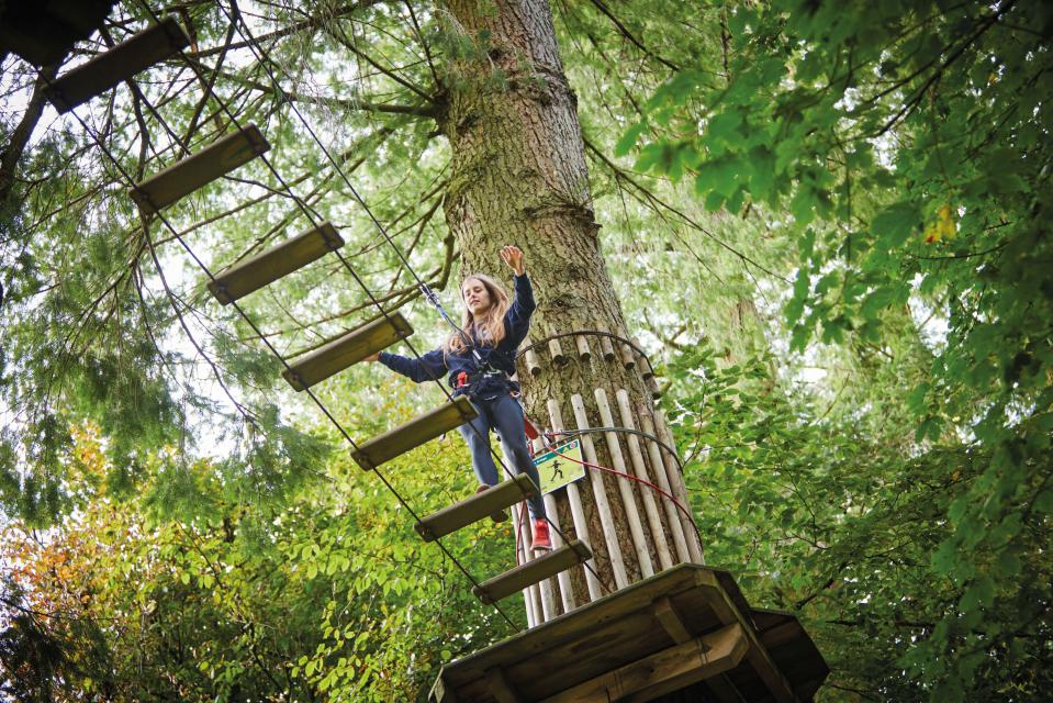  The forest is home to tree-top adventure course Go Ape