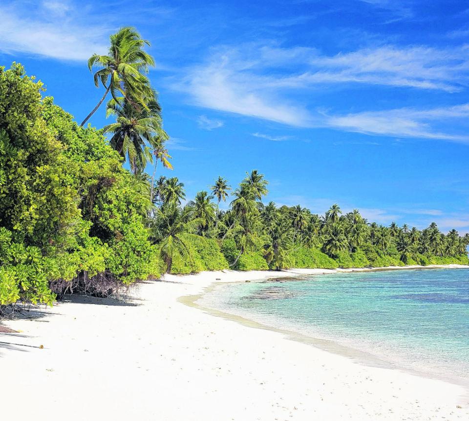  The family were enjoying a luxurious holiday in the Maldives when Max was found in a swimming pool