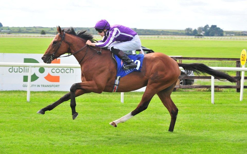 Saxon Warrior is favourite for the Racing Post Trophy