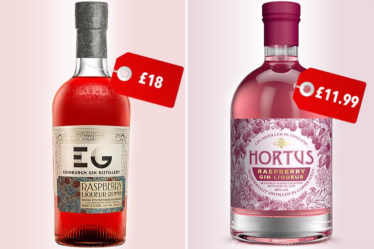  These new gin liqueurs join Lidl’s existing Hortus gin range, which includes the seasonal Hortus Sloe Gin, Hortus Oriental Spiced Gin and Hortus Original London Dry Gin