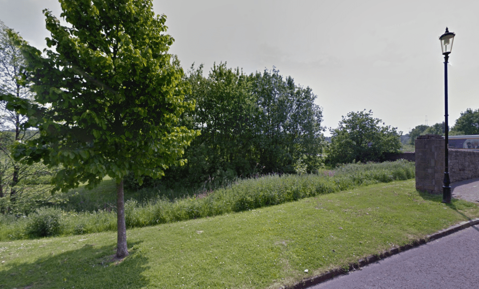  The teenager was found dead in woodland off Walsingham Drive in Runcorn, Cheshire