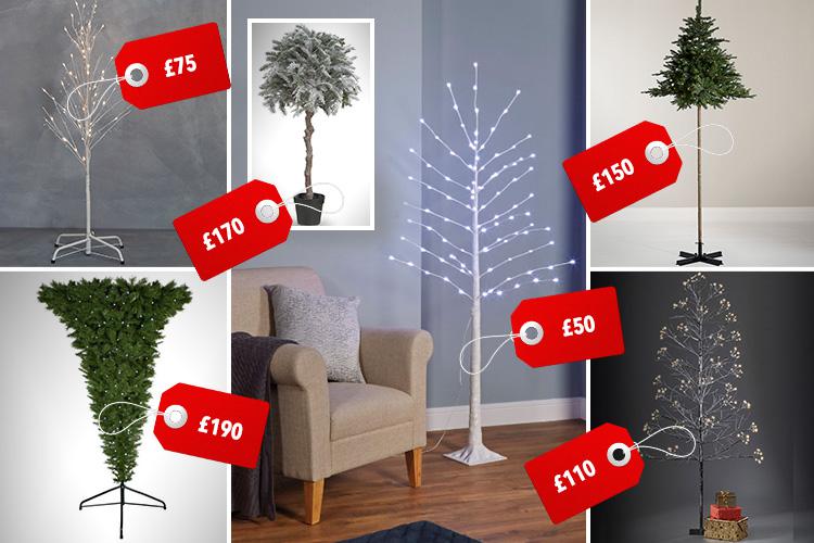  Would you pay over £100 for one of these trees?