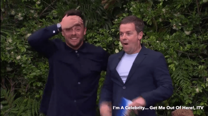 Ant and Dec found the whole thing quite amusing