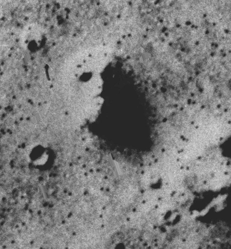  A spooky Sphinx-like face captured on Mars by the Viking spacecraft July 31, 1976