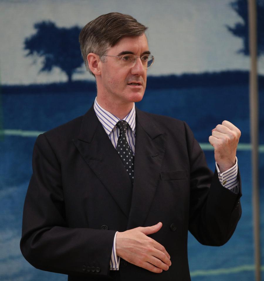  Rees-Mogg fights back saying it will hurt Germany too