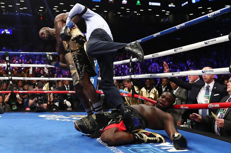  Deontay Wilder left Bermane Stiverne in a terrible state