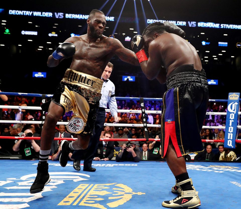  Deontay Wilder put Brmane Stiverne to the sword in New York on Saturday