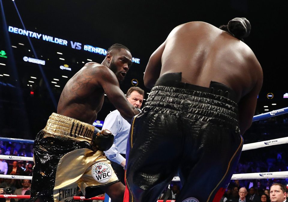  Deontay Wilder called out AJ after he battered former WBC champ Bermane Stiverne