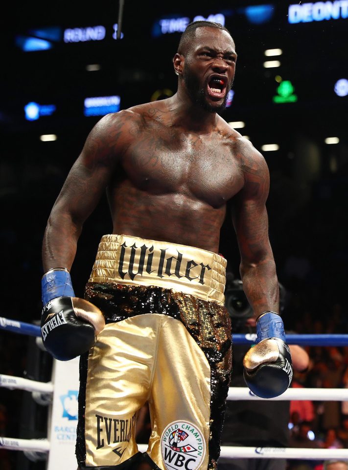  Deontay Wilder knocked out Bermane Stiverne in the first round in New York on Saturday