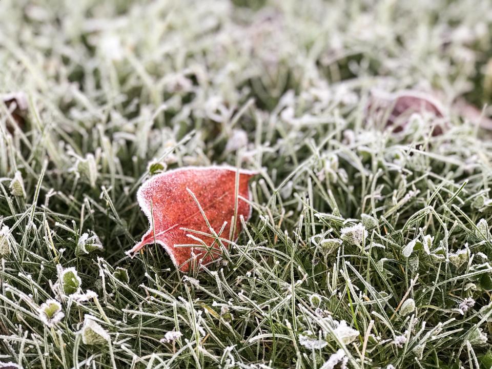  Frost-covered grassy fields in Godalming last week as temperatures plunged below freezing