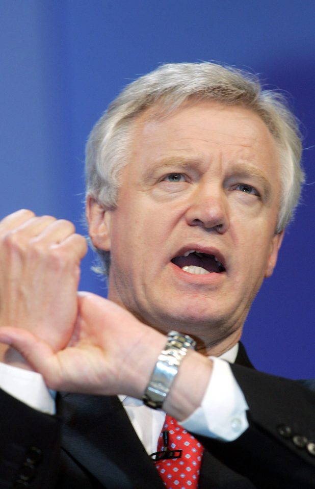  Time to act . . . Brexit secretary David Davis