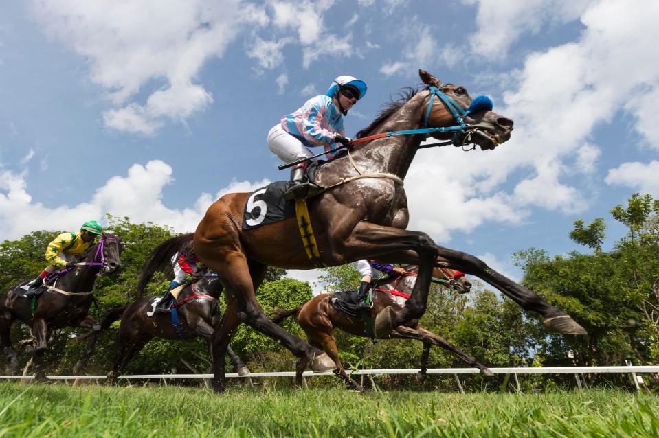  The Queen has always enjoyed watching horseracing and breeds thoroughbreds