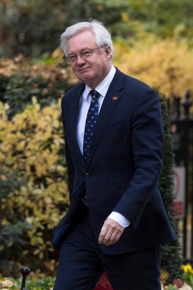  David Davis said 'taxpayers would not want me to just come along and give away billions of pounds'