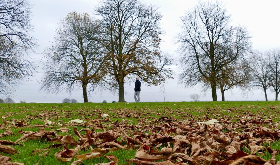  It was an autumnal afternoon along The Long Walk Windsor Great Park today