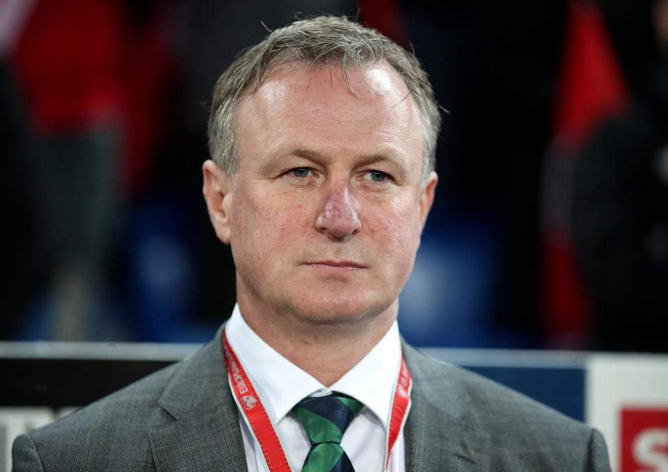  Michael O'Neill has rejected the chance to take over at Sunderland