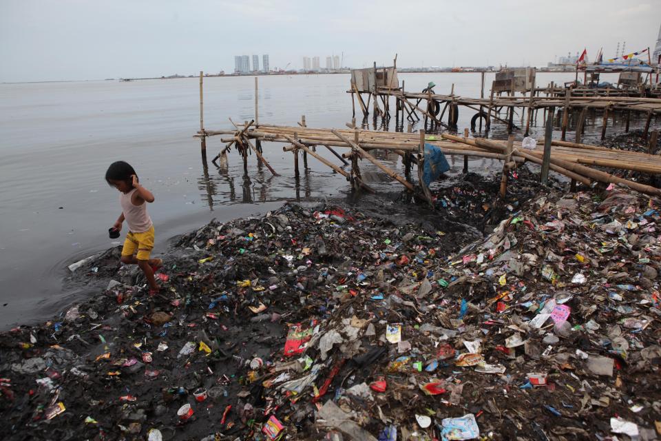  A million seabirds and 100,000 sea mammals die every year from getting caught in or swallowing plastic waste