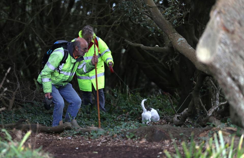  Family and friends today joined the search for Gaia, as teams hunted through countryside and shoreline