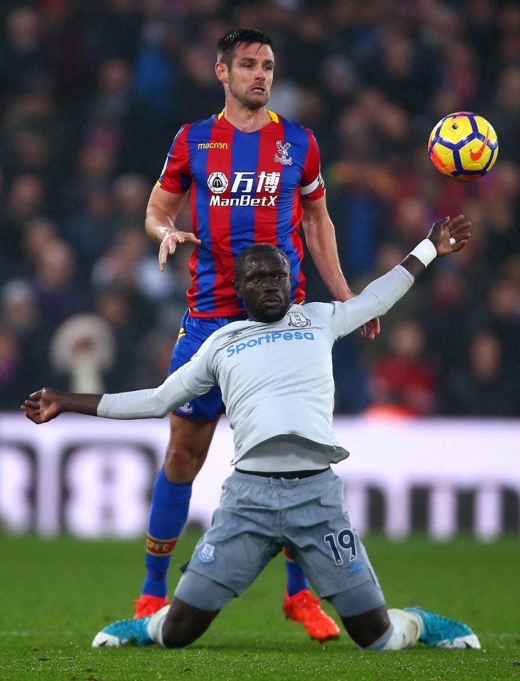  Scott Dann insists Oumar Niasse conned referee Anthony Taylor