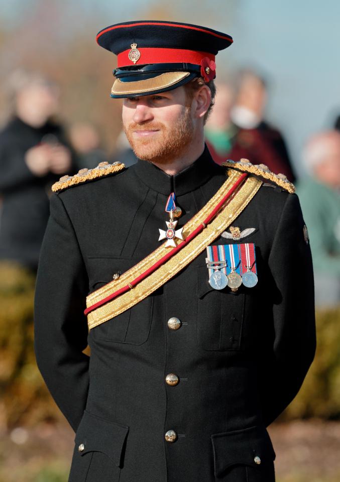 Prince Harry wearing his army medals and his Royal Victoria Cross 