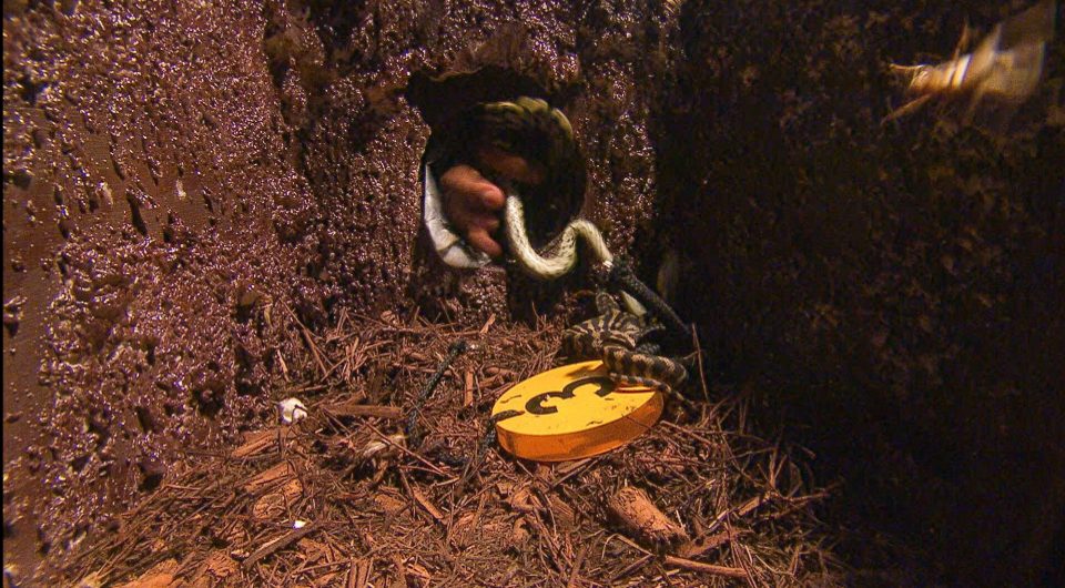  Amir struggled with the first Bushtucker Trial