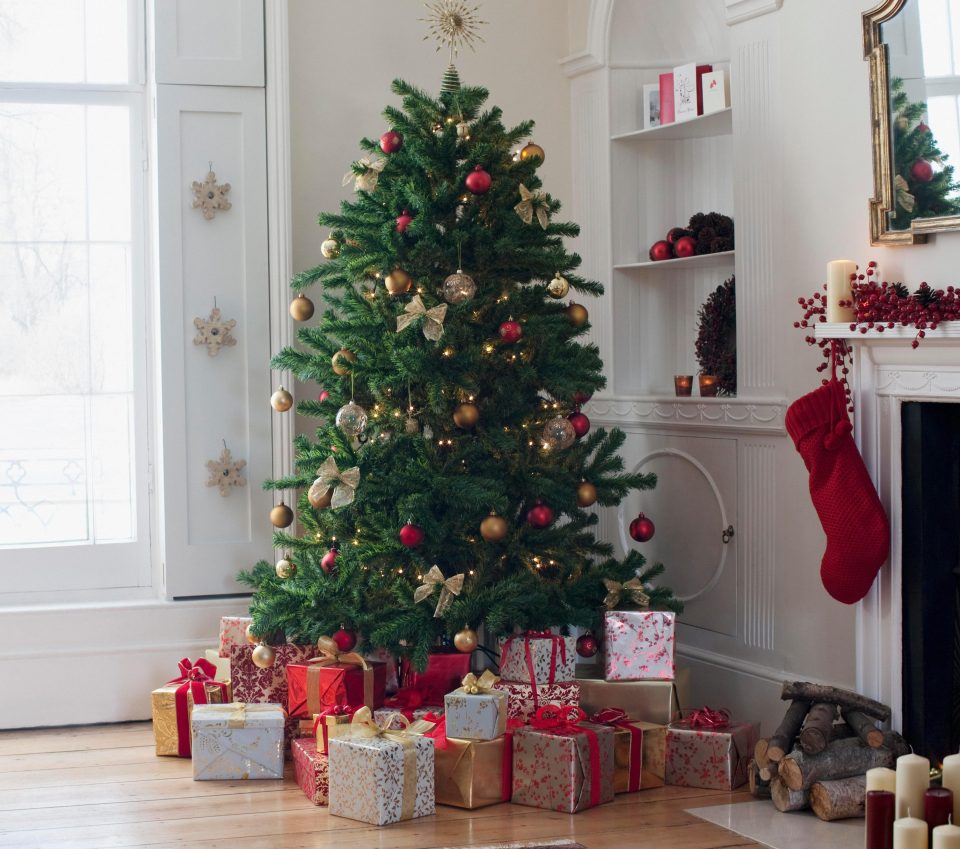  Experts warn your Christmas tree could trigger a potentially deadly asthma attack and nasty respiratory problems, due to mould growing on the branches